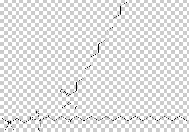 Dipalmitoylphosphatidylcholine Pulmonary Surfactant Phospholipid Lung Pulmonary Alveolus PNG, Clipart, Angle, Area, Black, Black And White, Chemical Compound Free PNG Download