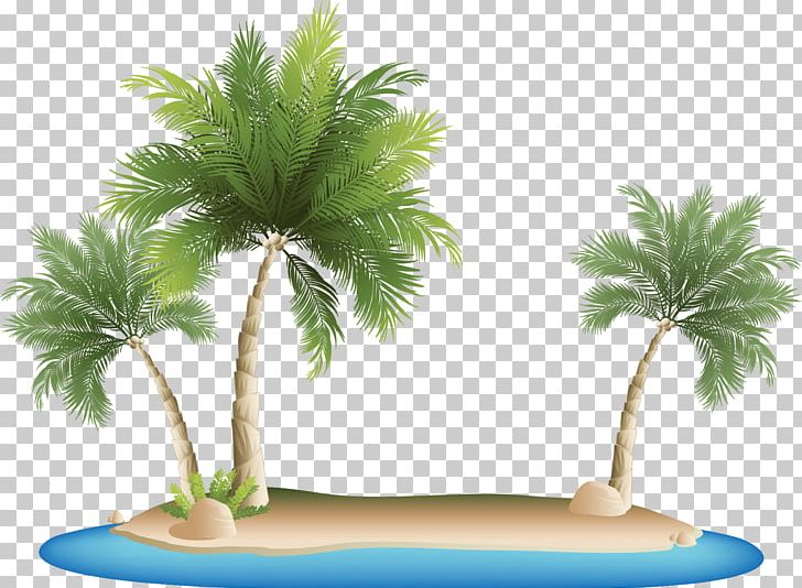 Palm Islands Tropical Islands Resort Png Clipart Arecales