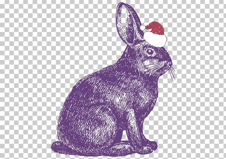 Rabbit Show Jumping Drawing Illustration PNG, Clipart, Animals, Cottontail Rabbit, Domestic Rabbit, Fauna, Happy Birthday Vector Images Free PNG Download