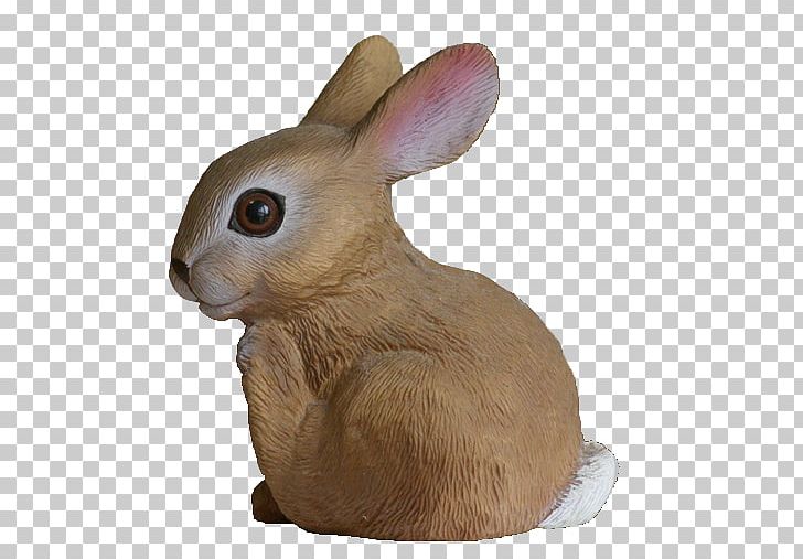Domestic Rabbit Hare Whiskers Snout New England Cottontail PNG, Clipart, Animals, Domestic Rabbit, Fauna, Hare, Mammal Free PNG Download