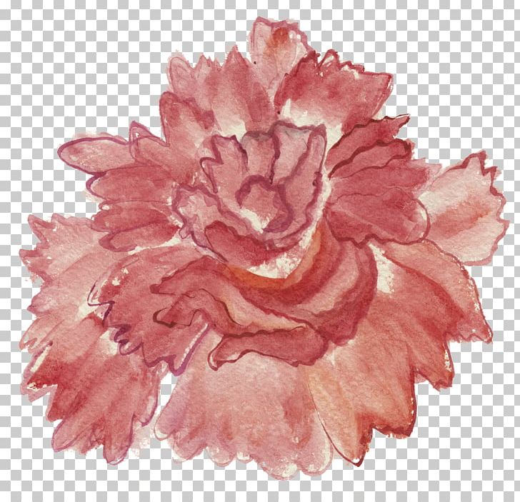 Carnation Cut Flowers Centifolia Roses PNG, Clipart, Centifolia Roses, Cut Flowers, Flower, Flower Arranging, Garden Roses Free PNG Download