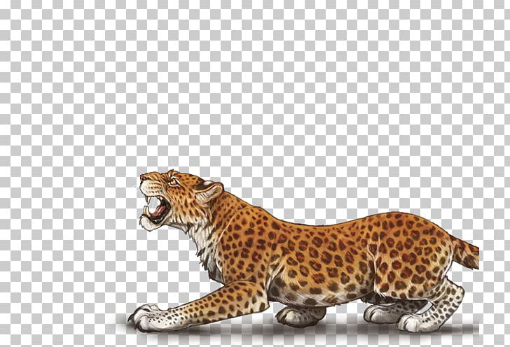 Cheetah Leopard Jaguar Cat Terrestrial Animal PNG, Clipart, Animal, Animals, Big Cats, Carnivoran, Cat Free PNG Download