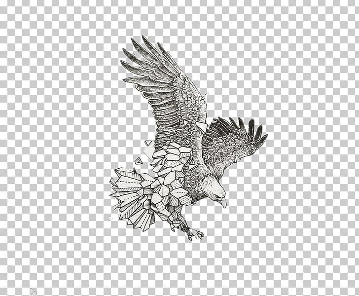 Geometry Sketchy Stories: The Sketchbook Art Of Kerby Rosanes Drawing Animal Illustrator PNG, Clipart, Accipitriformes, Bald Eagle, Beak, Beast, Bird Free PNG Download