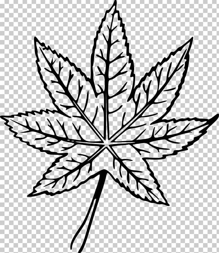 Leaf Line Art Drawing PNG, Clipart, Art, Black And White, Coloring Book, Drawing, Flora Free PNG Download