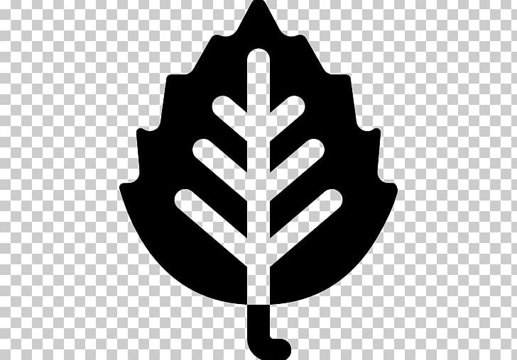 Irrigation Tree Database Information White PNG, Clipart, Birch, Black And White, Database, Flowering Plant, Information Free PNG Download
