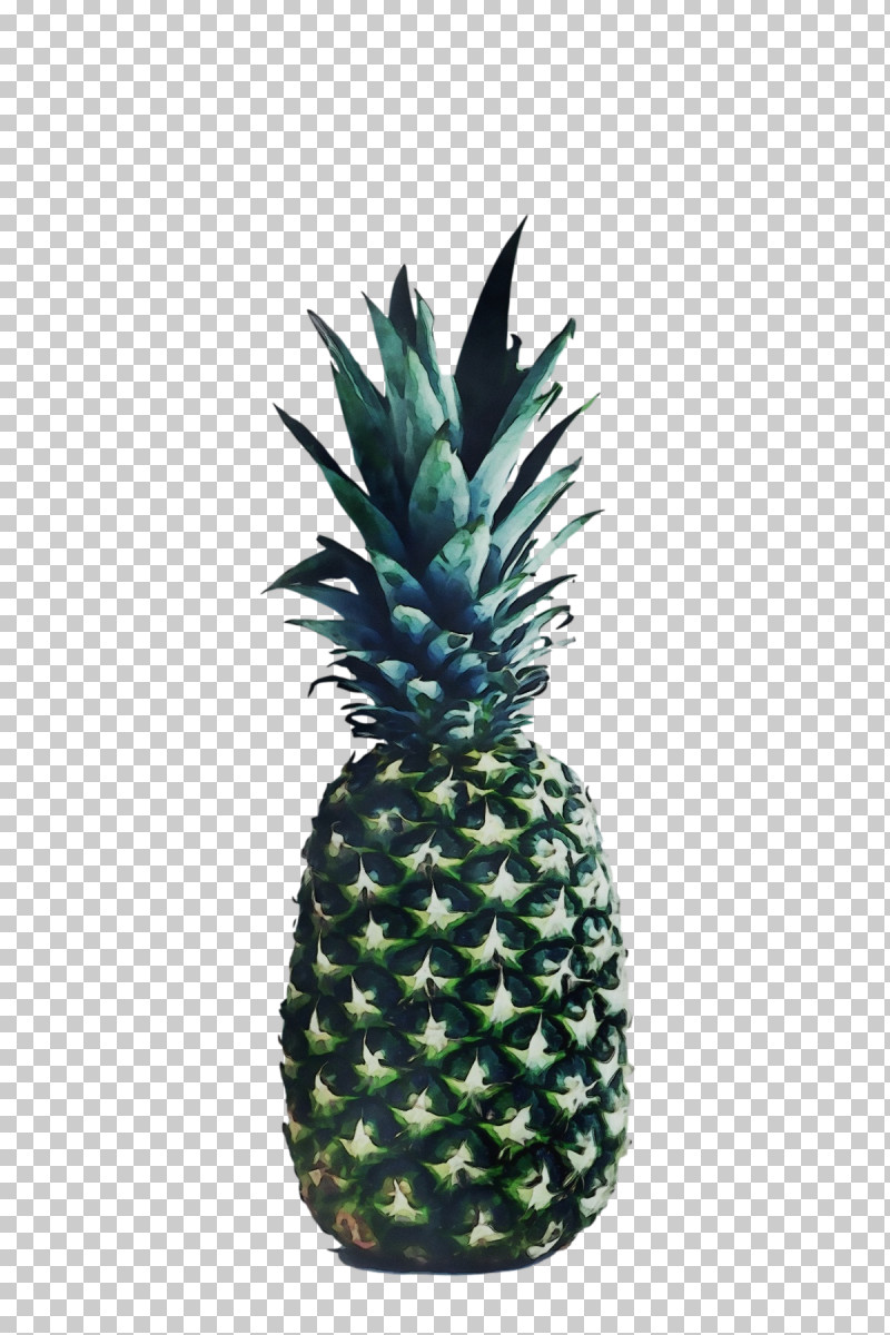 Pineapple PNG, Clipart, Barbados, Biology, Delivery, Flowerpot, Fruit Free PNG Download