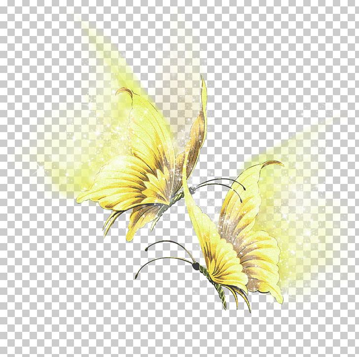 Butterfly Flügel Insect Art PNG, Clipart, Art, Blog, Butterflies And Moths, Butterfly, Flower Free PNG Download