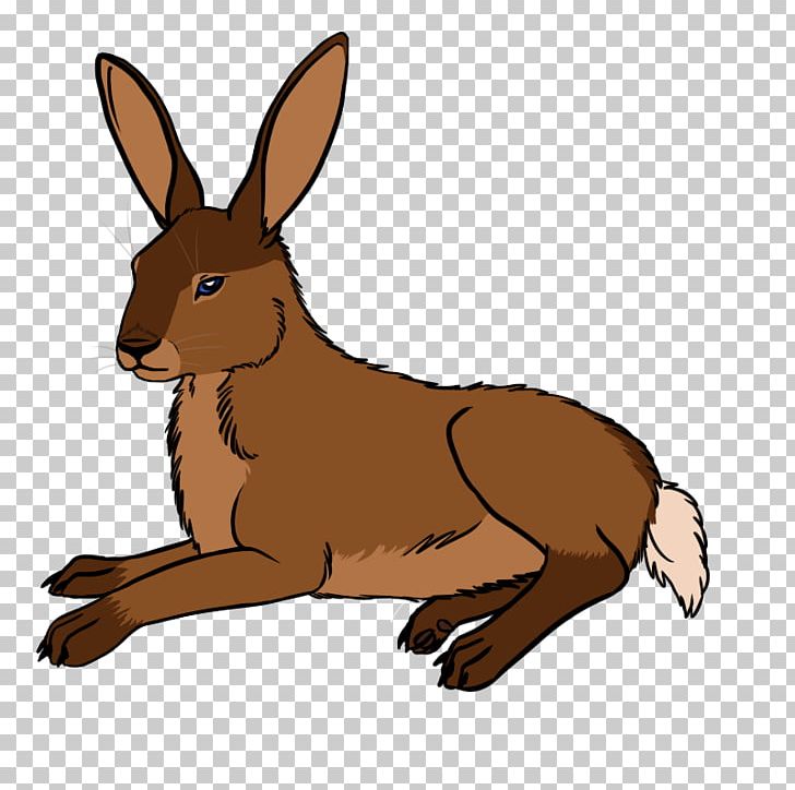 Domestic Rabbit Hare Macropodidae Kangaroo PNG, Clipart, Animal, Animals, Domestic Rabbit, Dont Care, Fauna Free PNG Download