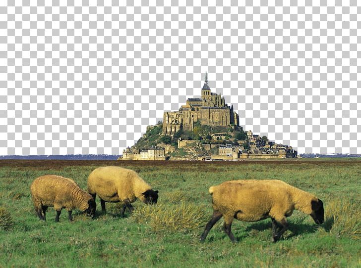 Genxeats Mont Saint Michel Abbey Saint-Michel-de-Montjoie Mont Saint-Michel Bay PNG, Clipart, Famous, Farm, Fauna, France, Grass Free PNG Download