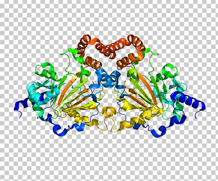 JMJD6 Enzyme Demethylase Lysyl Hydroxylase Hydroxylation PNG, Clipart, Area, Arginine, Art, Body Jewelry, Circle Free PNG Download