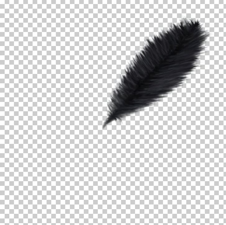Feather PhotoScape Desktop PNG, Clipart, Animals, Black, Black And White, Brush, Color Free PNG Download