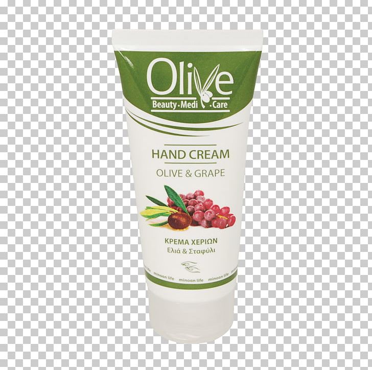 Lotion Cream Cosmetics Olive Oil PNG, Clipart, Antiaging Cream, Body Wash, Cosmetics, Cream, Food Drinks Free PNG Download