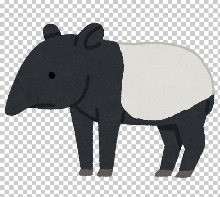 Malayan Tapir South American Tapir Animal いらすとや Snout PNG, Clipart, Animal, Baku, Brazil, English, Giant Panda Free PNG Download