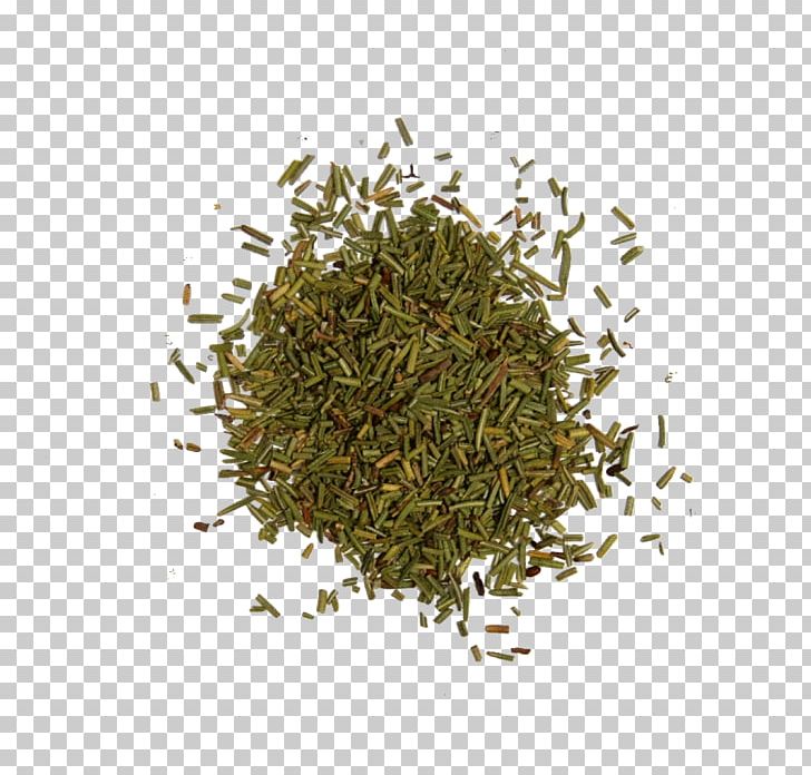 Rosemary Seasoning Herb Liquorice PNG, Clipart, Assam Tea, Bancha, Biluochun, C 8, Common Sage Free PNG Download