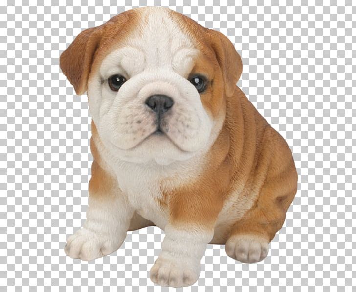 French Bulldog Beagle Golden Retriever Puppy PNG, Clipart, American Bulldog, Animals, Border Collie, Bulldog, Carnivoran Free PNG Download