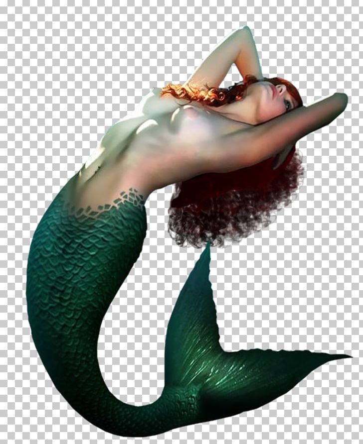 Mermaid Siren PNG, Clipart, Diver, Drawing, Fairy, Fantasy, Legendary Creature Free PNG Download