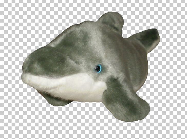 Shark Little Fish PNG, Clipart, Animal Figure, Animals, Dolphin, Download, Fauna Free PNG Download