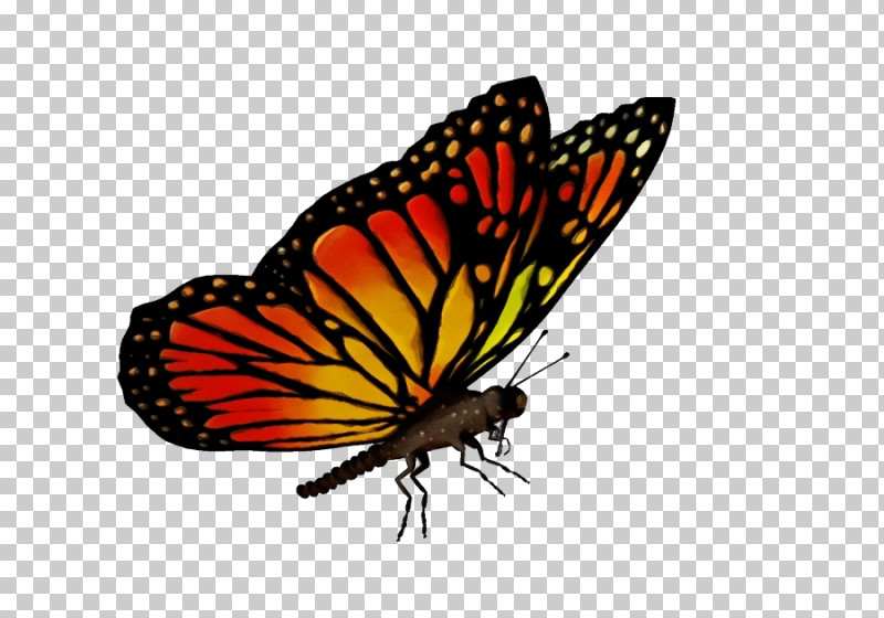 Monarch Butterfly PNG, Clipart, Brushfooted Butterflies, Butterflies, Gossamerwinged Butterflies, Insects, Monarch Butterfly Free PNG Download