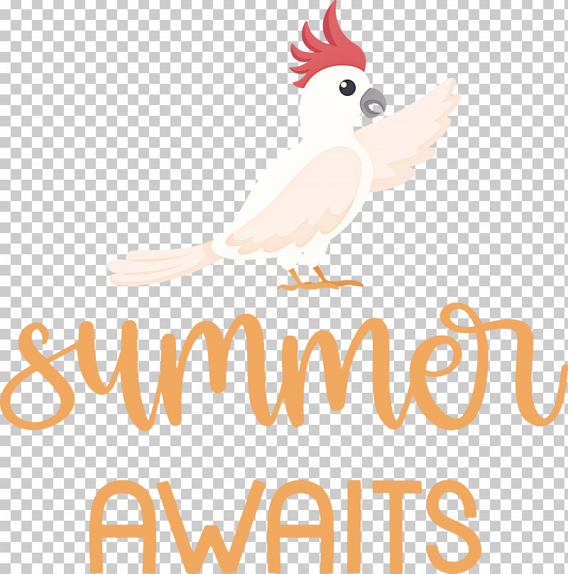 Summer Awaits Summer Summer Vacation PNG, Clipart, Beak, Chicken, Landfowl, Line, Logo Free PNG Download