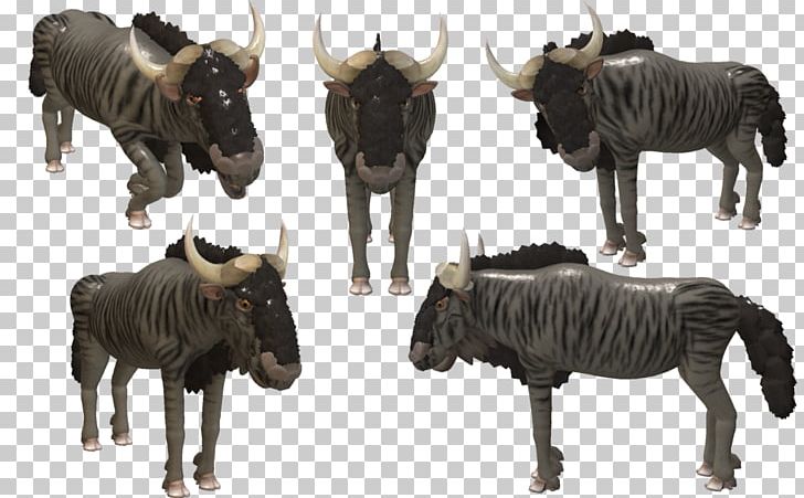 Cattle Quagga Wildebeest Terrestrial Animal Wildlife PNG, Clipart ...