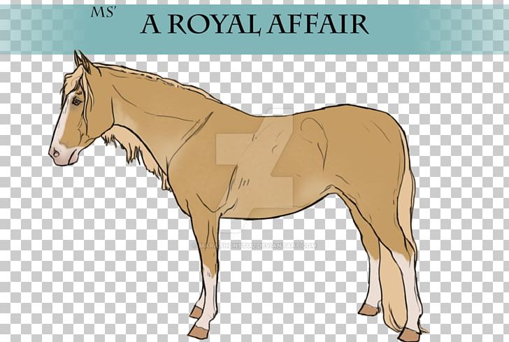 Mule Foal Stallion Mare Colt PNG, Clipart, Colt, Donkey, Fauna, Foal, Halter Free PNG Download