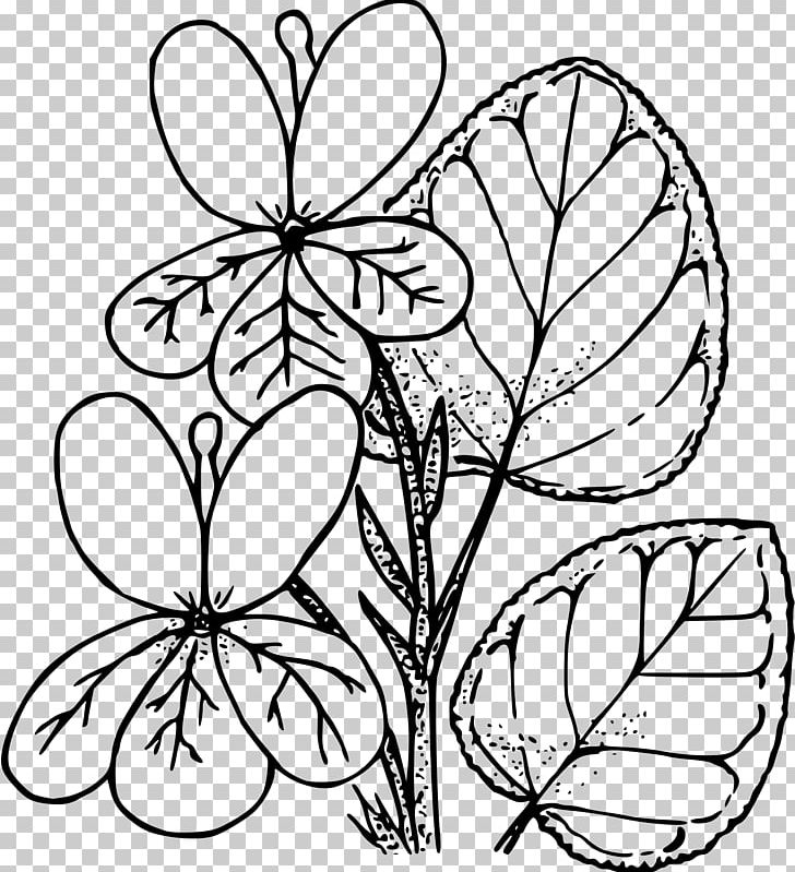 Violet Drawing Coloring Book PNG, Clipart, Art, Black And White, Branch, Brush Footed Butterfly, Butterfly Free PNG Download