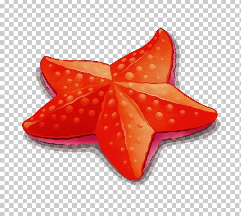Starfish PNG, Clipart, Paint, Starfish, Watercolor, Wet Ink Free PNG Download