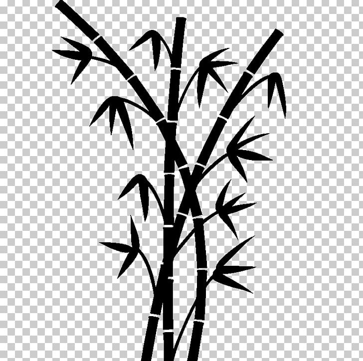 Bambou Drawing Tropical Woody Bamboos Plant Stem PNG, Clipart, Angle, Art, Black And White, Branch, Drawing Free PNG Download