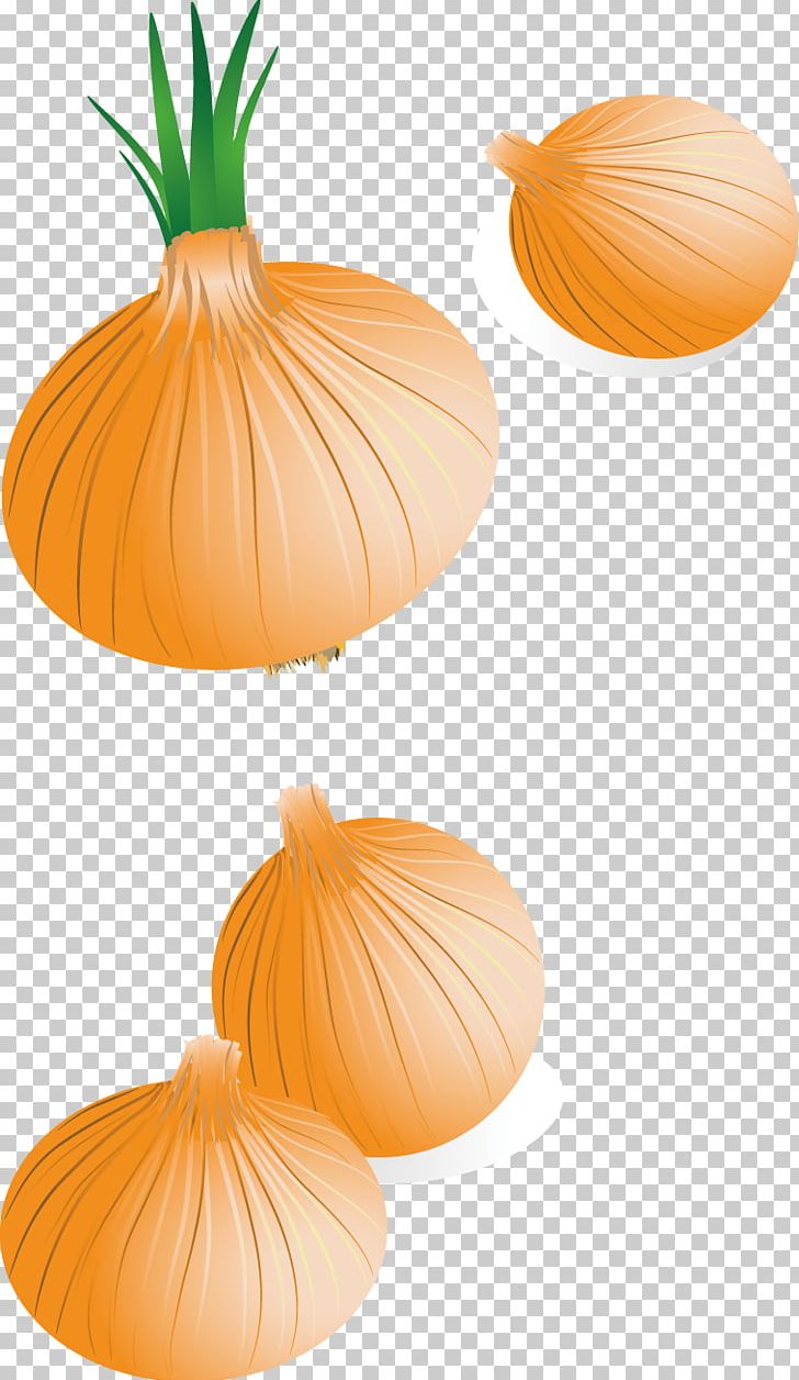 Calabaza Onion PNG, Clipart, Calabaza, Commodity, Creative Ads, Creative Artwork, Creative Background Free PNG Download