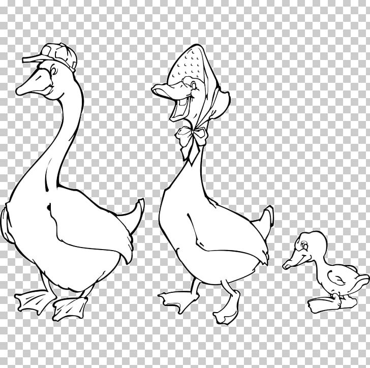 Duck Chicken Goose Bird Grey Geese PNG, Clipart, Animals, Arm, Art, Artwork, Beak Free PNG Download
