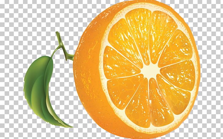 Orange PNG, Clipart, Citric Acid, Citron, Citrus, Clementine, Cocktail Free PNG Download