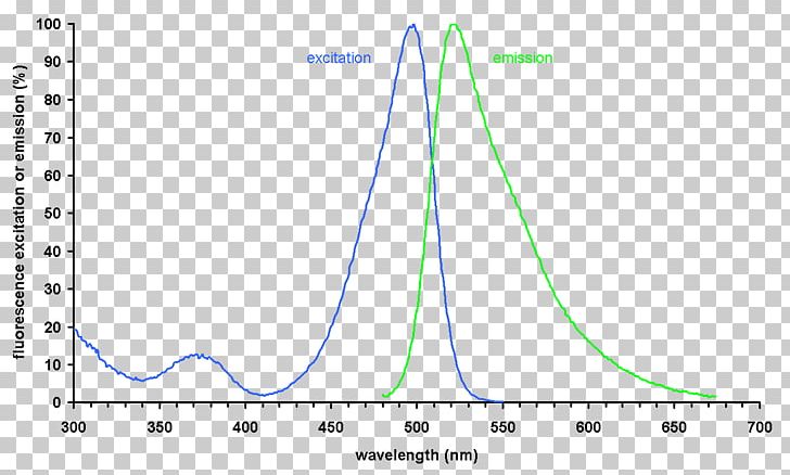 SYBR Green I Emission Spectrum Fluorescence Absorption Fluorophore PNG, Clipart, Absorption, Angle, Area, Circle, Cyanine Free PNG Download