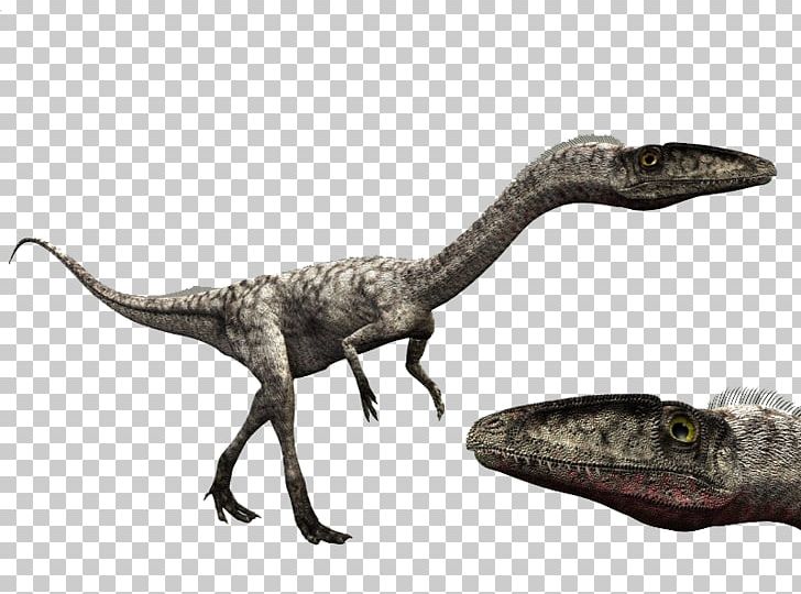 Velociraptor Coelophysis Giganotosaurus Dilophosaurus Spinosaurus PNG, Clipart, Albertosaurus, Animal Figure, Carnivore, Coelophysis, Dilophosaurus Free PNG Download