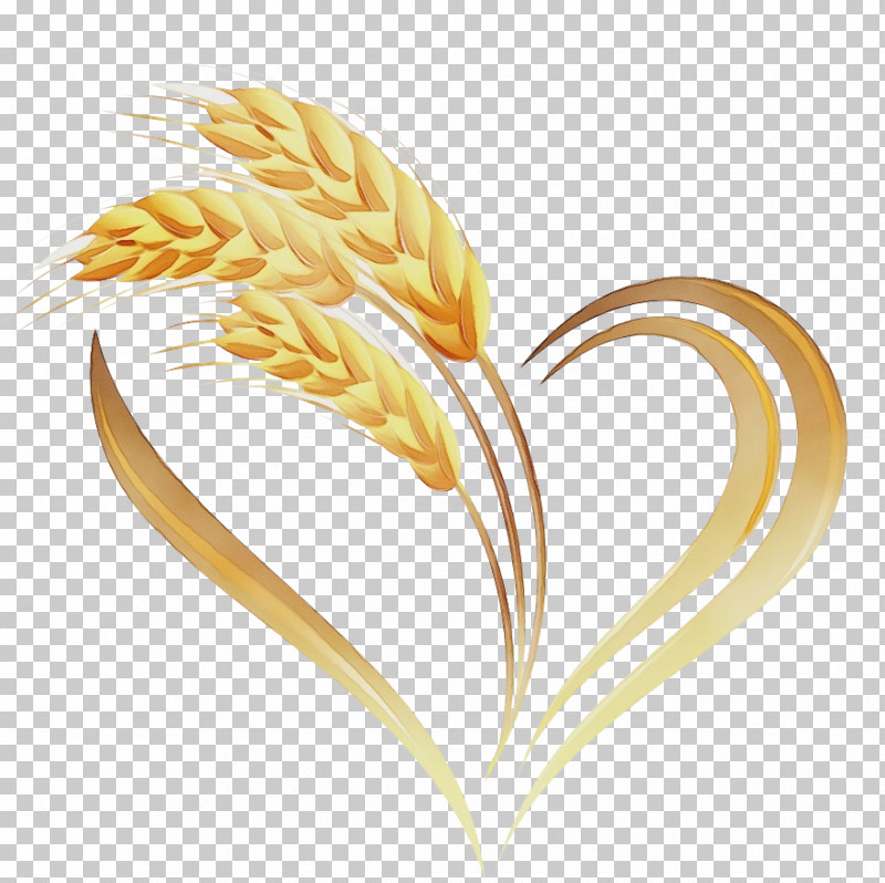 Wheat PNG, Clipart, Biology, Commodity, Flower, Grain, Grasses Free PNG Download