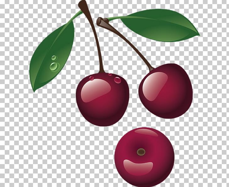 Sweet Cherry Cerasus Berry PNG, Clipart, Berry, Cerasus, Cherry, Food, Fruit Free PNG Download