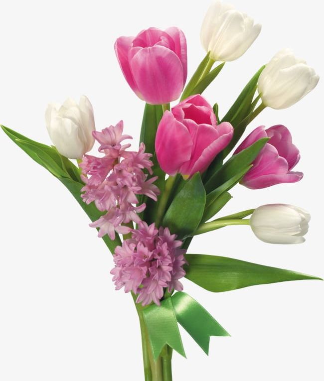 Tulip Bouquet PNG, Clipart, Bouquet, Bouquet Clipart, Flower, Grass, Holland Free PNG Download