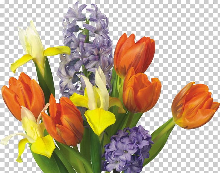 Tulip Flower Bouquet Cut Flowers PNG, Clipart, Crocus, Cut Flowers, Floral Design, Floristry, Flower Free PNG Download