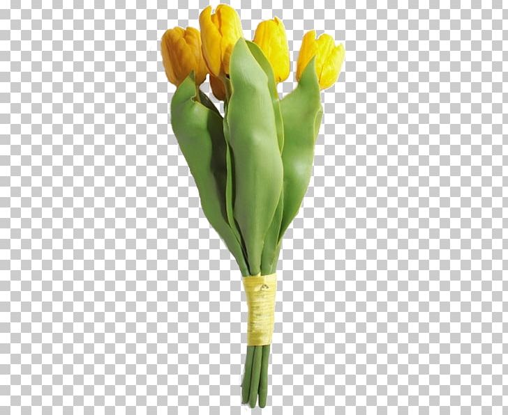 Tulip Flower Delivery Cut Flowers Plant Stem PNG, Clipart, Bud, Cut Flowers, Flower, Flower Delivery, Flowering Plant Free PNG Download