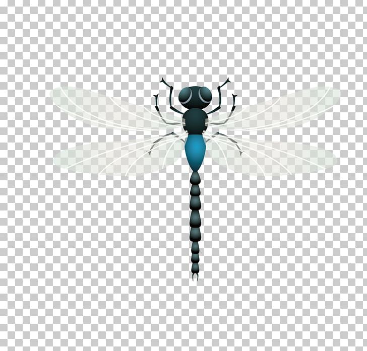 Insect Dragonfly PNG, Clipart, Cartoon, Computer, Computer Wallpaper, Free Logo Design Template, Free Vector Free PNG Download