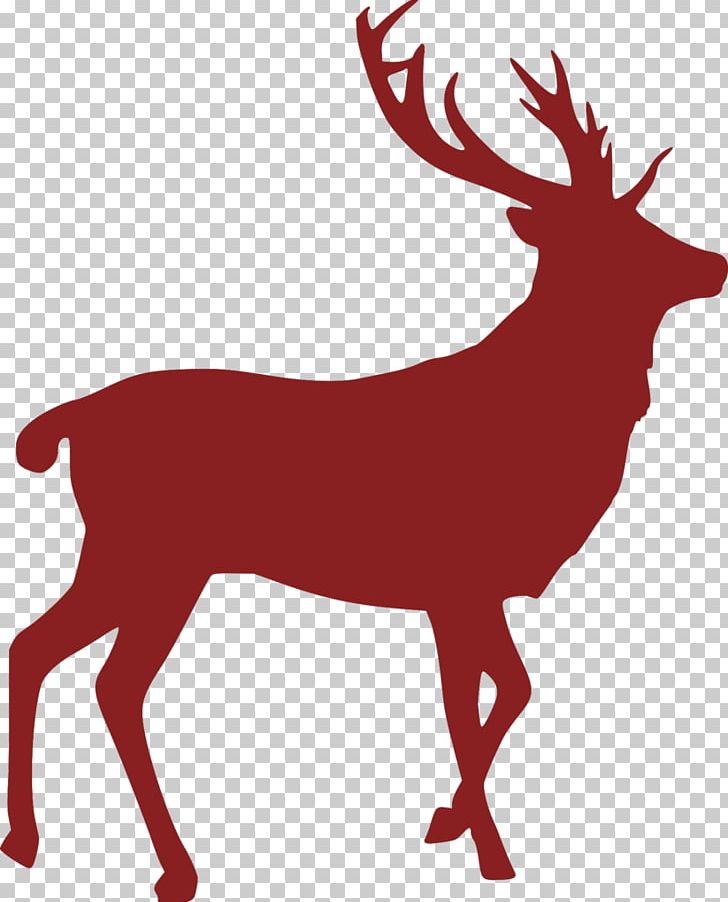 White-tailed Deer Elk Red Deer Portable Network Graphics PNG, Clipart, Animal Figure, Antler, Autocad Dxf, Deer, Deer Hunting Free PNG Download