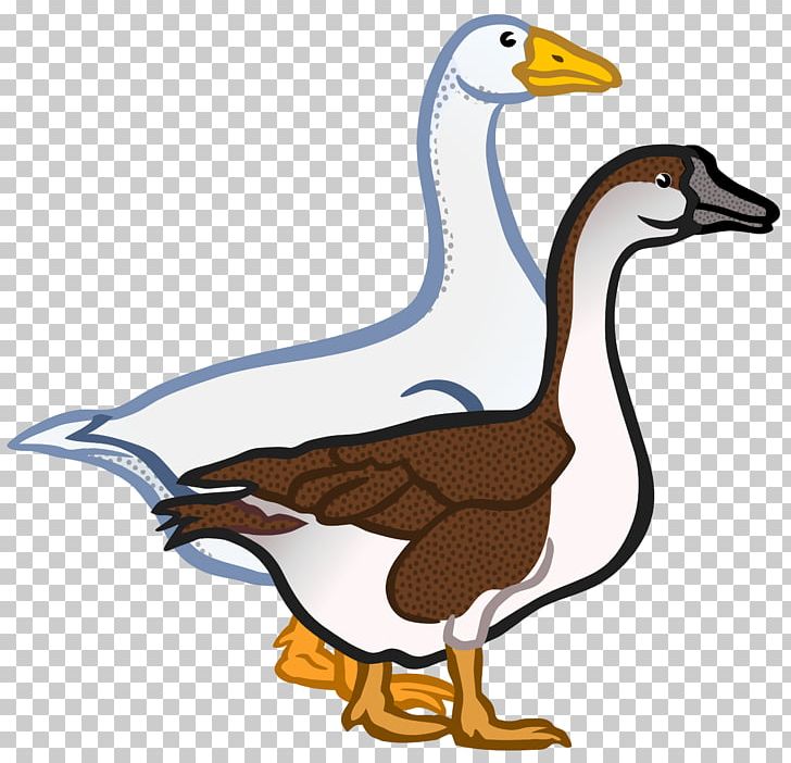 Goose Duck PNG, Clipart, Animal Figure, Animals, Anseriformes, Beak, Bird Free PNG Download