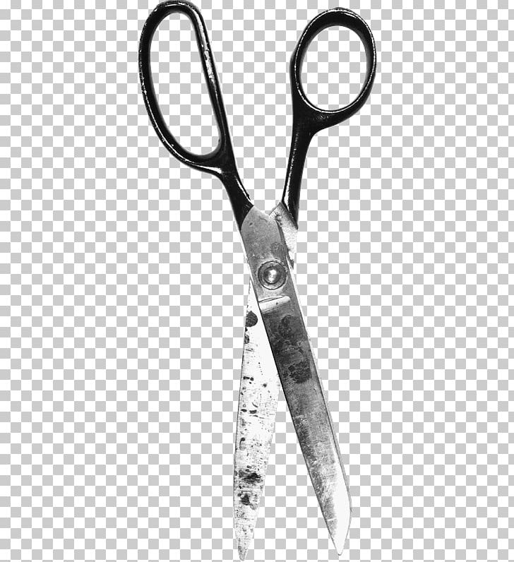 Hair-cutting Shears Portable Network Graphics Scissors PNG, Clipart, Computer Icons, Cutting, Download, Encapsulated Postscript, Haircutting Shears Free PNG Download