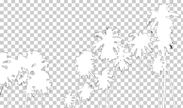 Line Art Branching Sketch PNG, Clipart, Artwork, Black And White, Branch, Branching, Drawing Free PNG Download