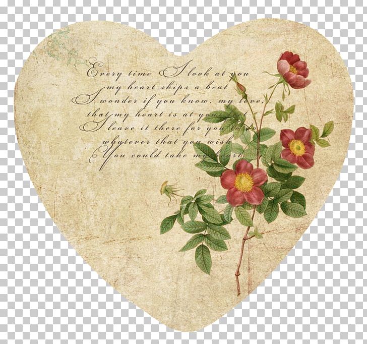 Rose Book Botanical Illustration PNG, Clipart, Free PNG Download