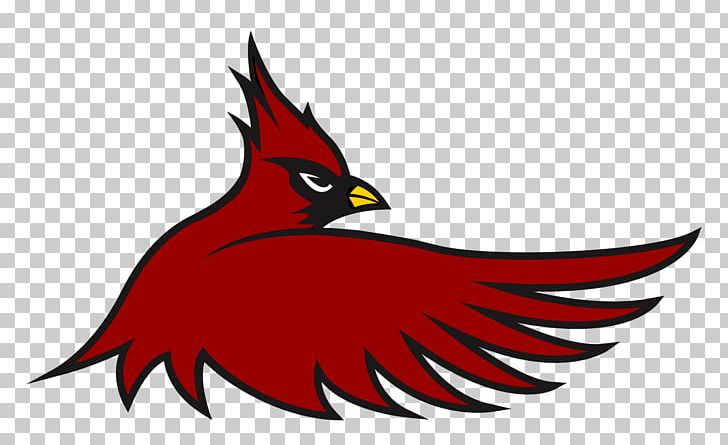 1998 St. Louis Cardinals Season Cardinal Hayes High School PNG, Clipart, 1998 St Louis Cardinals Season, Artwork, Baseball, Beak, Bird Free PNG Download