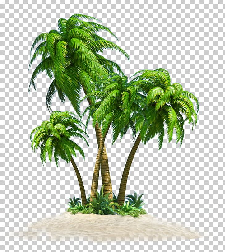Coconut Tree Computer File PNG, Clipart, Adobe Illustrator, Arecaceae, Arecales, Autumn Tree, Beach Free PNG Download