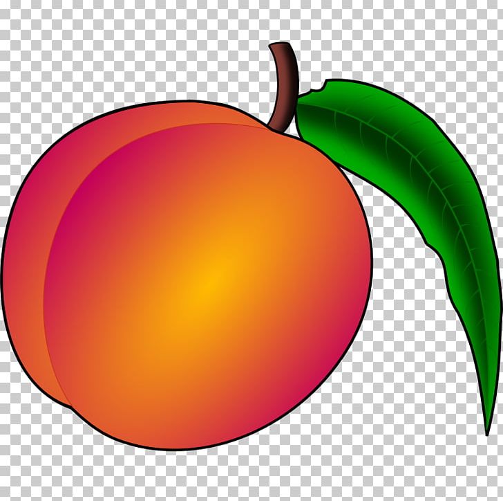 Peach County PNG, Clipart, Apple, Clip Art, Clipart, Color, Computer Icons Free PNG Download