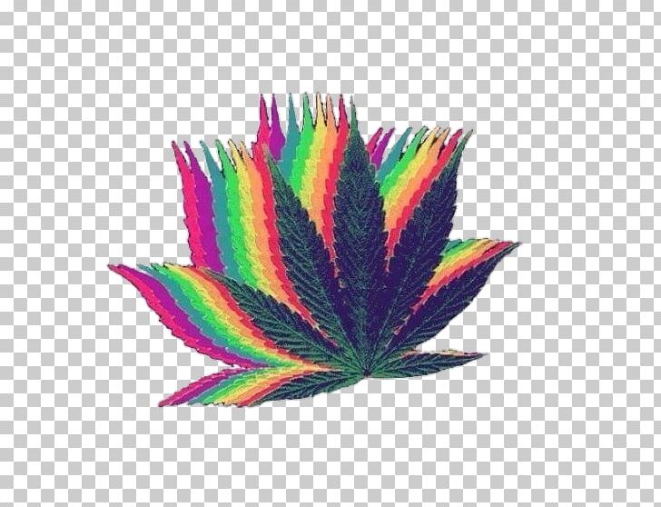 Cannabis Smoking Desktop PNG, Clipart, Avatan, Avatan Plus, Cannabis, Cannabis Smoking, Computer Free PNG Download
