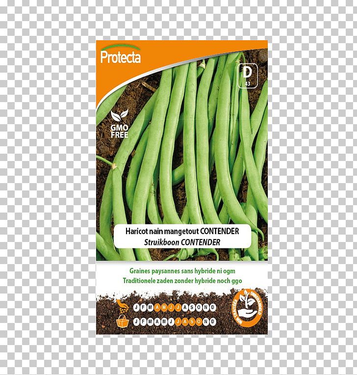 Green Bean Banana PNG, Clipart, Banana, Fruit Nut, Green Bean, Ingredient, Vegetable Free PNG Download