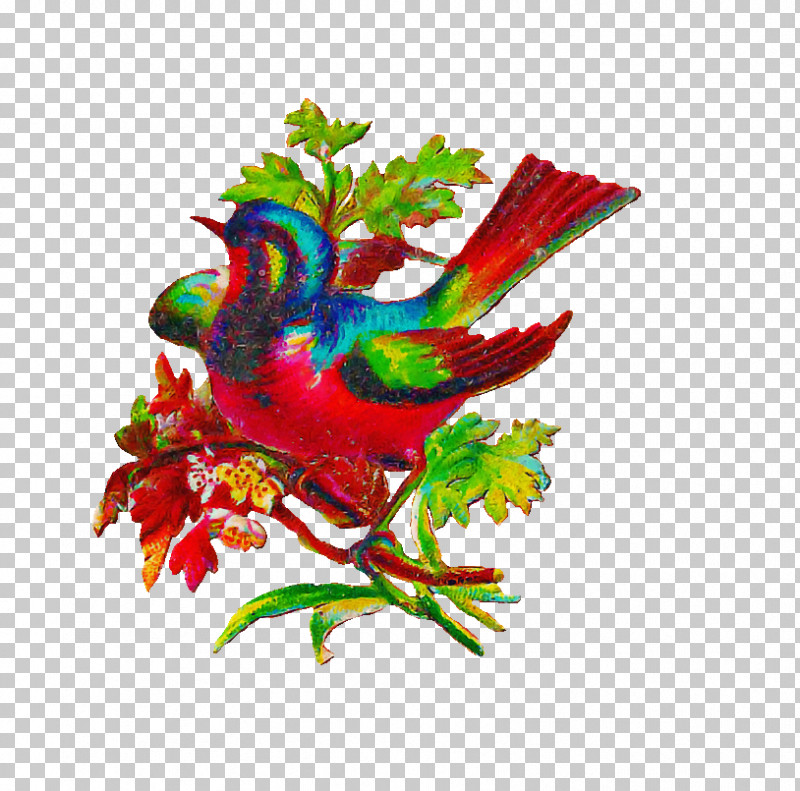 Lovebird PNG, Clipart, Beak, Birds, Drawing, Landfowl, Line Art Free PNG Download